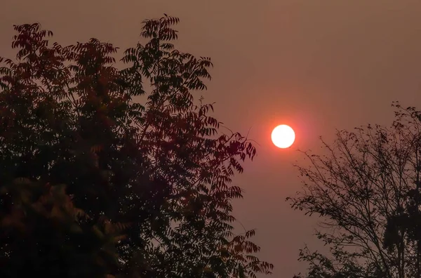 Sol Brilhando Laranja Durante Nascer Sol Sobre Árvores Criando Uma — Fotografia de Stock