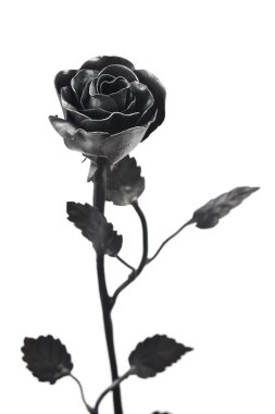 Iron roses siyah dövme