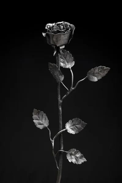 Rosas de ferro forjado preto — Fotografia de Stock