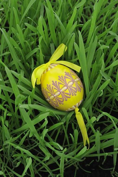 Colorful painted easter egg — Stock Photo, Image