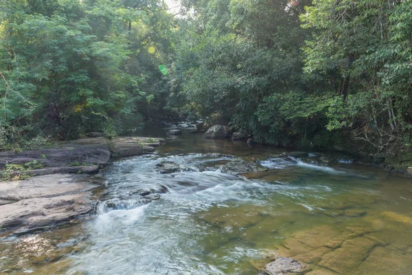 kayaların üzerinden çalışan orman akarsu