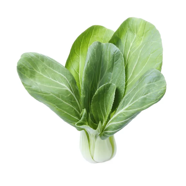 Bok choy beyaz arka plan üzerinde izole