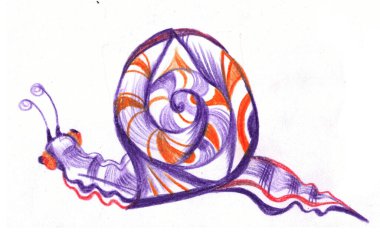 Mor salyangozlu deniz kabuğu