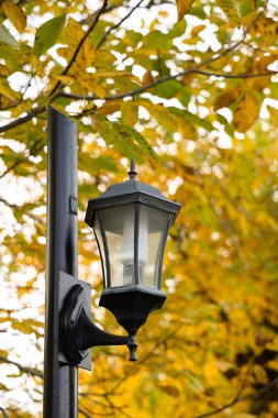 İnanılmaz güzel mimari ve şehir manzaraları.