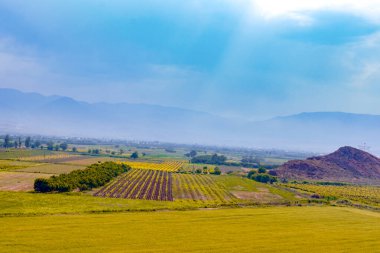 Sonsuz güzellikte ve renkli bir doğa.