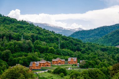 Sonsuz güzellikte ve renkli bir doğa.