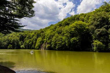 Sonsuz güzellikte ve renkli bir doğa.