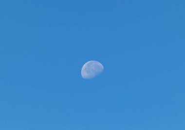 Sonsuz güzellikte ve renkli bir doğa.