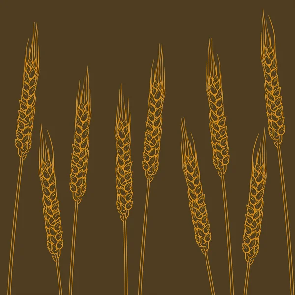 Graphics yellow wheat ears on a background - Stok Vektor