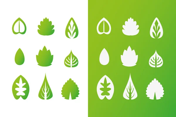 Conjunto de elementos de diseño de hojas verdes. Esta imagen es una ilustración ecológica ECO — Vector de stock