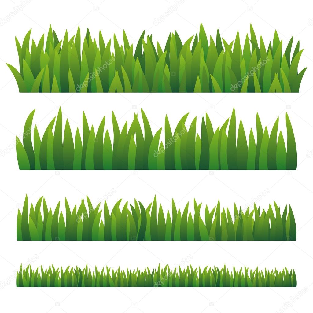 Green Grass, Isolated On White Background