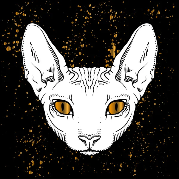 Cabeza de gato de dibujos animados con ojos dorados jn fondo negro — Vector de stock