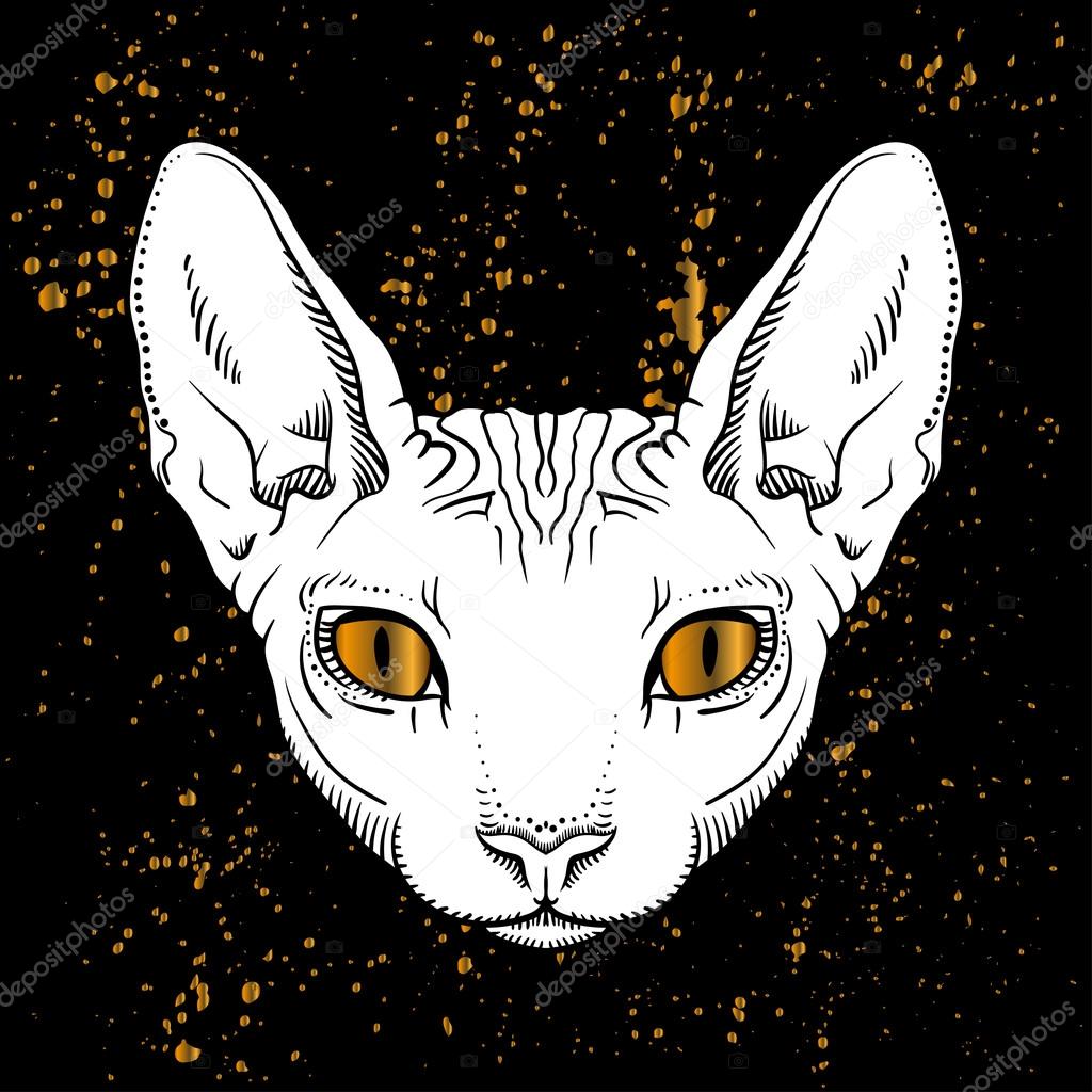 Tªte de chat de dessin animé avec fond noir jn yeux dorés — Image vectorielle