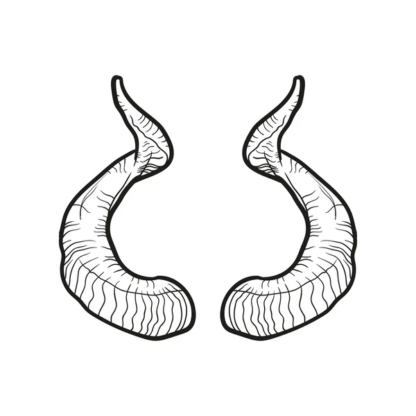 Zwarte doodle contoure van hoorns isoleted op wit — Stockvector