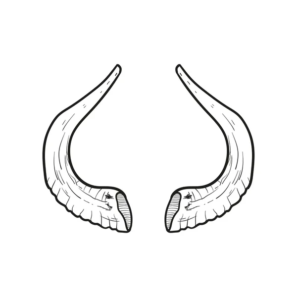 Black doodle contoure of horns isoleted on white - Stok Vektor