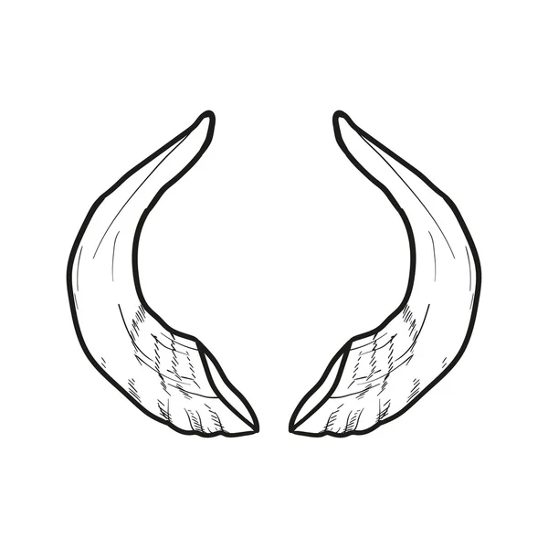 Zwarte doodle contoure van hoorns isoleted op wit — Stockvector