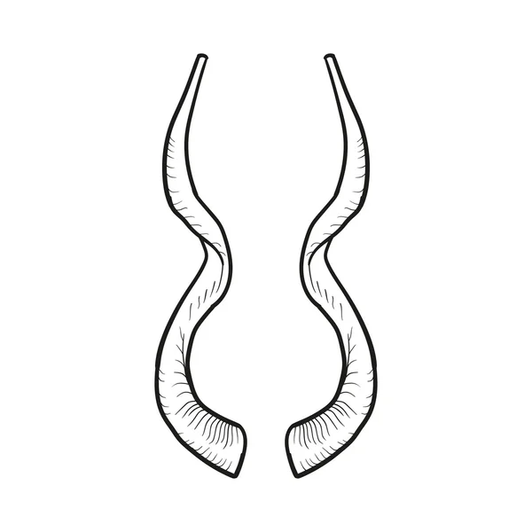 Svart doodle konturen av horn isolerad på vit — Stockfoto