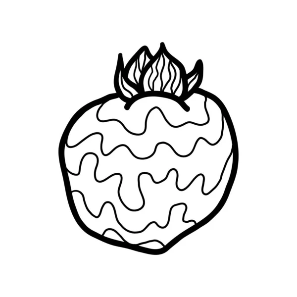 向量Doodle Persimmon 从白色背景中分离出手工绘制的橄榄树果图 食品图标 — 图库矢量图片