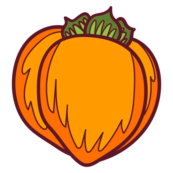 Vektor-Doodle Persimmon. Handgezeichnete Kaki-Frucht-Illustration isoliert auf weißem Hintergrund. Lebensmittel-Ikone — Stockvektor