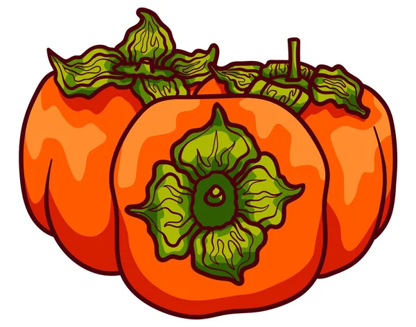 Vector doodle caqui. Ilustración de fruta de caqui dibujada a mano aislada sobre fondo blanco. Icono de comida — Vector de stock