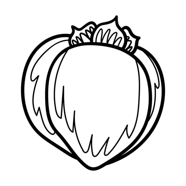 Vector doodle caqui. Ilustración de fruta de caqui dibujada a mano aislada sobre fondo blanco. Icono de comida — Archivo Imágenes Vectoriales