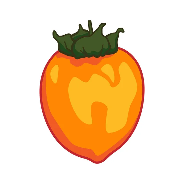 Vector doodle caqui. Ilustración de fruta de caqui dibujada a mano aislada sobre fondo blanco. Icono de comida — Vector de stock