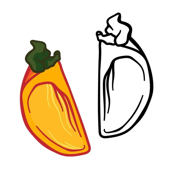 Vektor-Doodle Persimmon. Handgezeichnete Kaki-Frucht-Illustration isoliert auf weißem Hintergrund. Lebensmittel-Ikone — Stockvektor