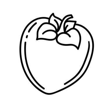 Vektör karalama Persimmon. Beyaz arka planda elle çizilmiş meyve çizimi. Gıda simgesi