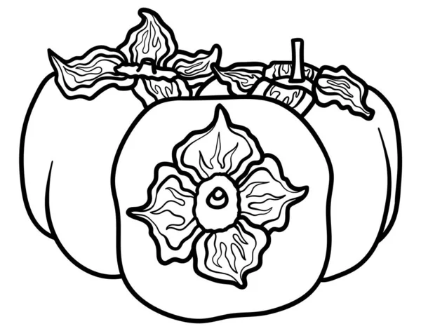 Vector Doodle Caqui Dibujado Mano Garabato Caqui Fruta Ilustración Aislada — Vector de stock