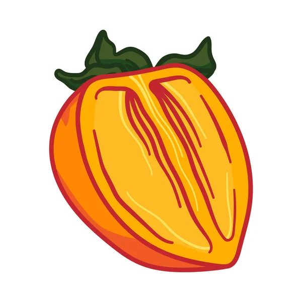 向量Doodle Persimmon 从白色背景中分离出手工绘制的橄榄树果图 食品图标 — 图库矢量图片