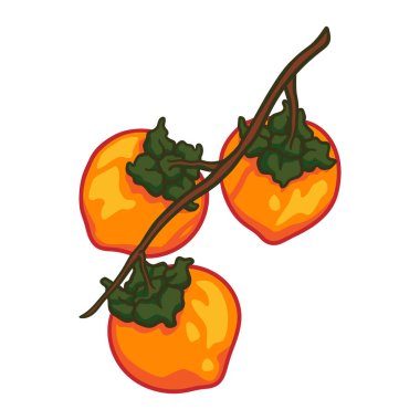 Vector doodle hurması. El çizimi hurma resmi beyaz arka planda izole edilmiş. Gıda simgesi,
