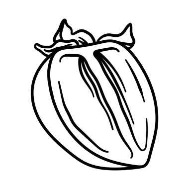Vector doodle hurması. El çizimi hurma resmi beyaz arka planda izole edilmiş. Gıda simgesi,