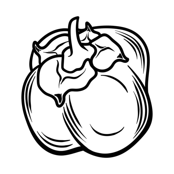 Vector Doodle Persimmon Ručně Kreslené Kreslené Perimon Ovoce Ilustrace Izolované — Stockový vektor