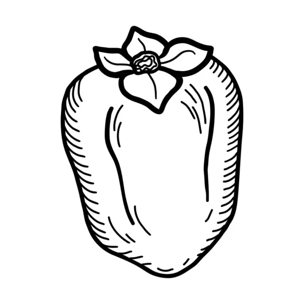 Doodle Persimmon 。在白色背景上孤立的手工绘制的西门子果图。食品图标 — 图库照片