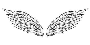 Beyaz üzerine izole edilmiş melek ya da kuş kanatları çizimi. karalama çizimi
