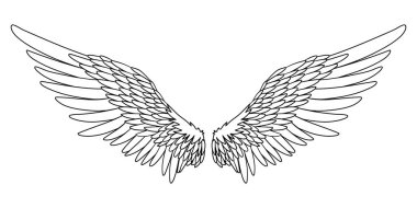 Beyaz üzerine izole edilmiş melek ya da kuş kanatları çizimi. karalama çizimi