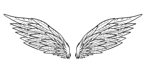 Angyal vagy madár szárnyak elvont vázlat elszigetelt fehér. firka illusztráció — Stock Fotó