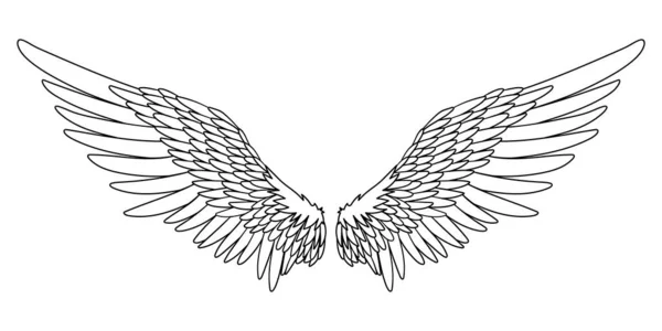 천사나 새의 날개는 흰색으로 분리되어 있다. 낙서 삽화 — 스톡 사진