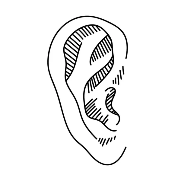 Símbolo de boceto de oreja dibujada a mano. Vector escuchar elemento en doodle estilo aislado en blanco — Archivo Imágenes Vectoriales