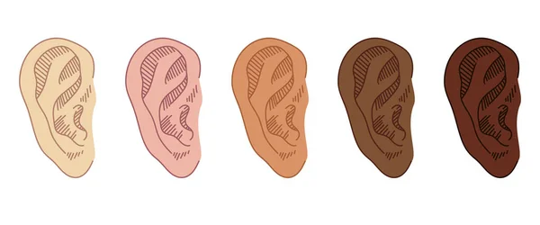 Σύνολο Hand Drawn Ear Sketch Σύμβολο με διαφορετικό χρώμα δέρματος. Διάνυσμα Ακούστε Στοιχείο Σε doodle στυλ ισοσταθμιστεί σε λευκό — Διανυσματικό Αρχείο
