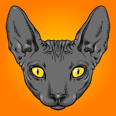 tüysüz Sfenks kedi yüz grafik, anahat