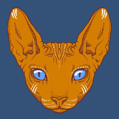 tüysüz Sfenks kedi yüz grafik, anahat