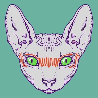 tüysüz Sfenks kedi yüz grafik, anahat