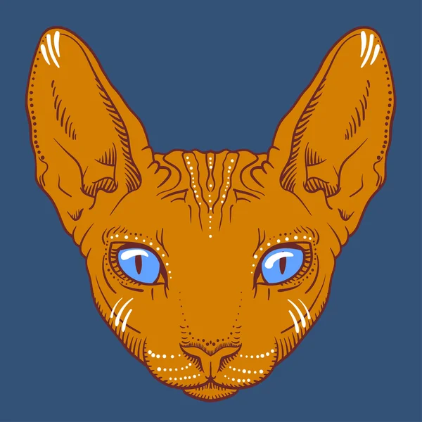 Hairless sphinx cat face graphics, outline — Stock Vector