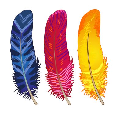 Mavi, kırmızı, sarı tüyler kümesi