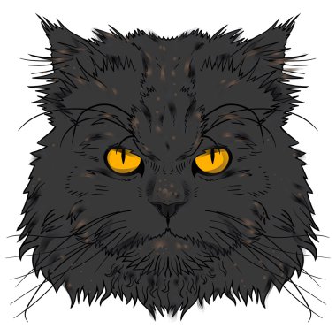 Farsça kedi grafik başkanı