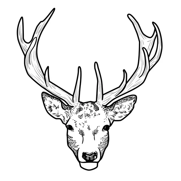 Graficzny kreskówka głowa jelenia z rokami — Wektor stockowy