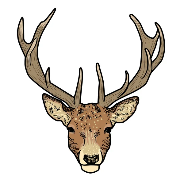 Cartoon deer head with antlers isolated — Stock Vector