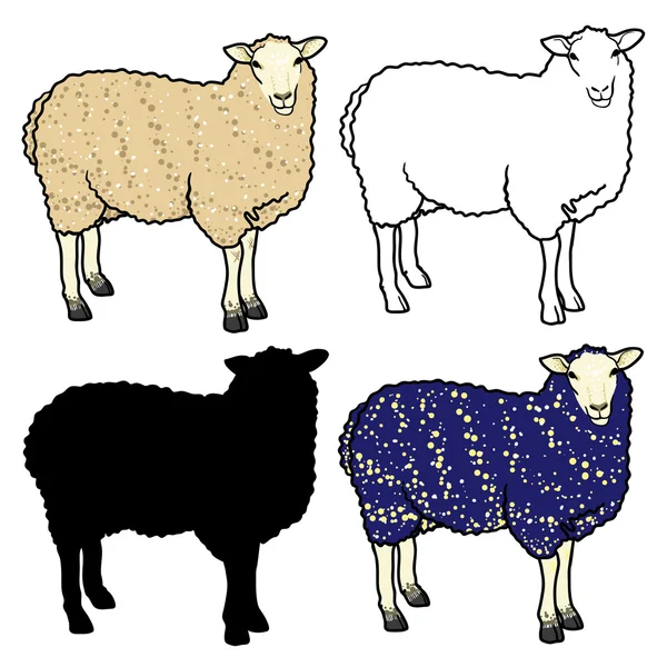 Set van vier schapen: wit, blauw, schapen silhouet en overzicht schapen. — Stockvector