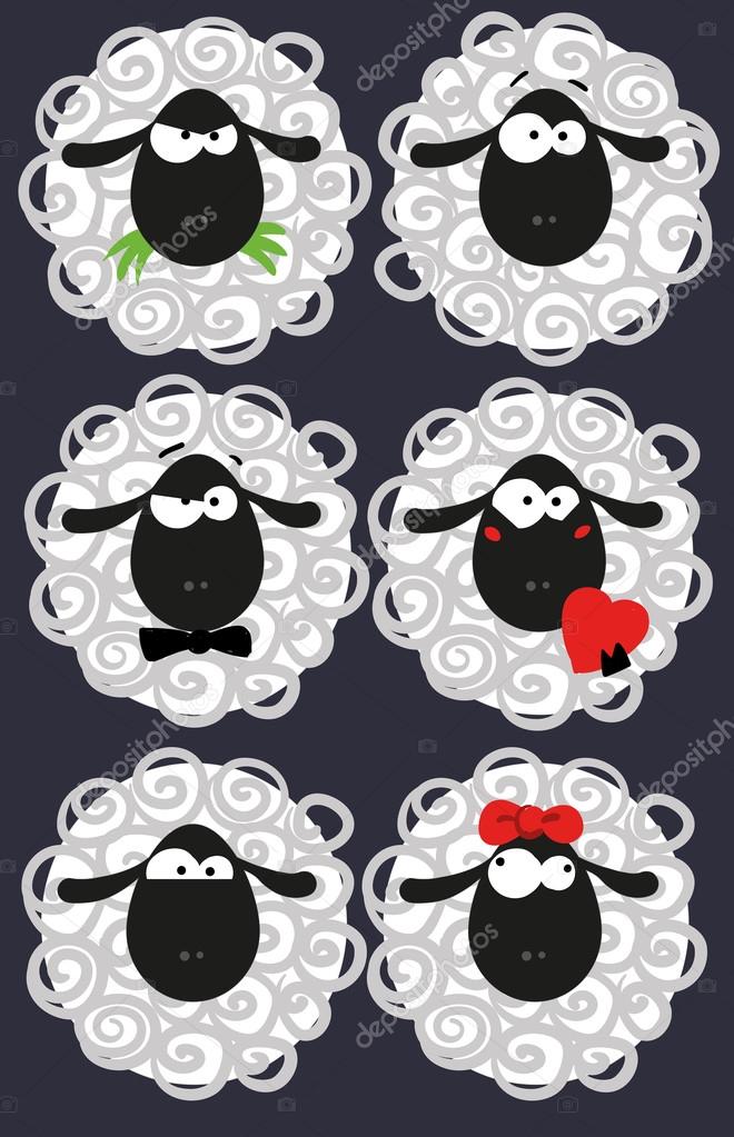 funny sheep on a black background